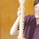 猫背矯正